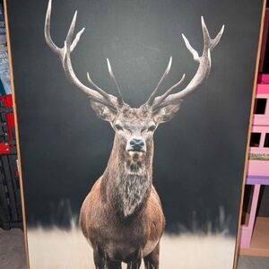 Majestic Deer Canvas Art